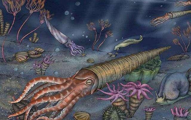 泥盆紀(jì)化石寶庫重現(xiàn)貴州，83種遠(yuǎn)古海洋生物揭示生命演化與醫(yī)藥研發(fā)新曙光